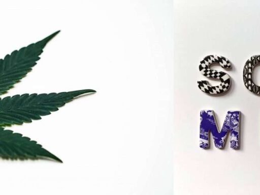 Social media and cannabis leaf.