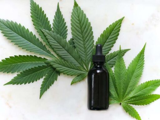A bottle of cbd oil surrounded by cbd leaves.