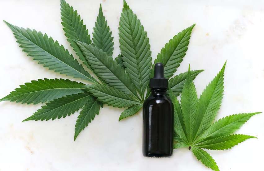 A bottle of cbd oil surrounded by cbd leaves.