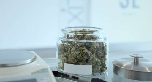 A jar of marijuana sits on top of a scale.